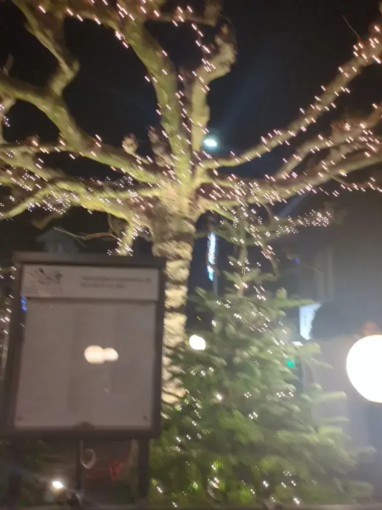 Cody Marthaller_Romantica_Rümlang_avis