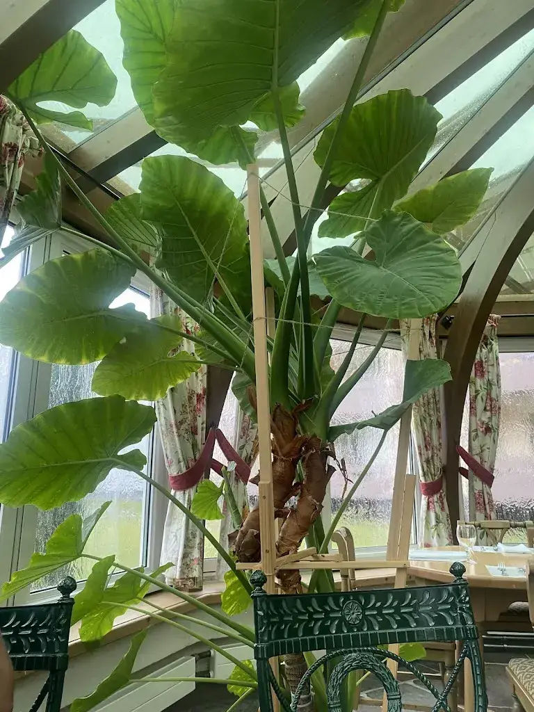 Asvini Kulanayagam_Zur alten Taverne_Kloten_review