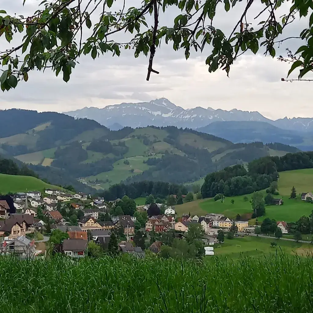 Claudia Jud_Frohe Aussicht_Neckertal_review