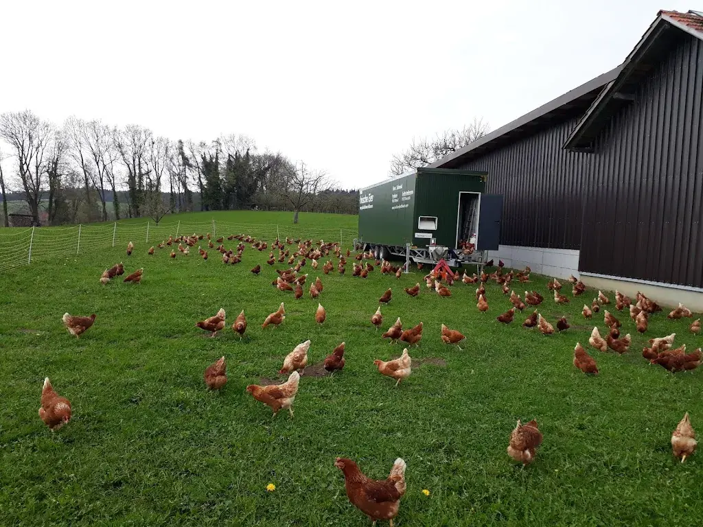 Restaurant Scheidweg_Rossrüti_slider_image_2