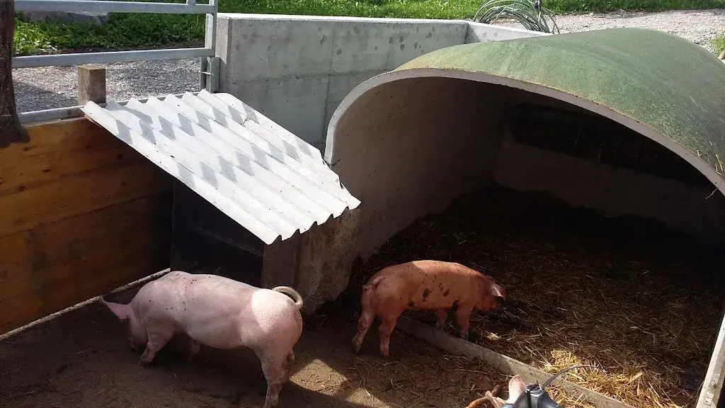 Restaurant Scheidweg_Rossrüti_slider_image_3