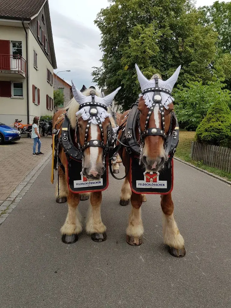 Marco Vollenweider_Restaurant Frohsinn_St. Margarethen_reseña