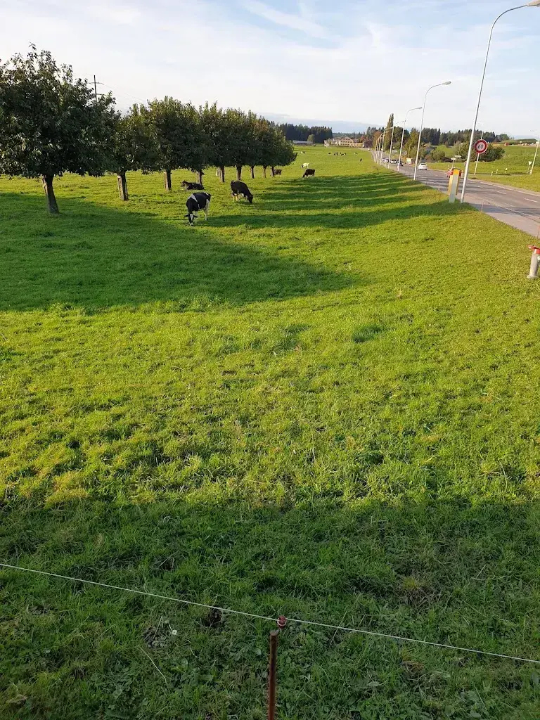 jimmy “Jimmy” Cavallo_Sternen_Arnegg_review