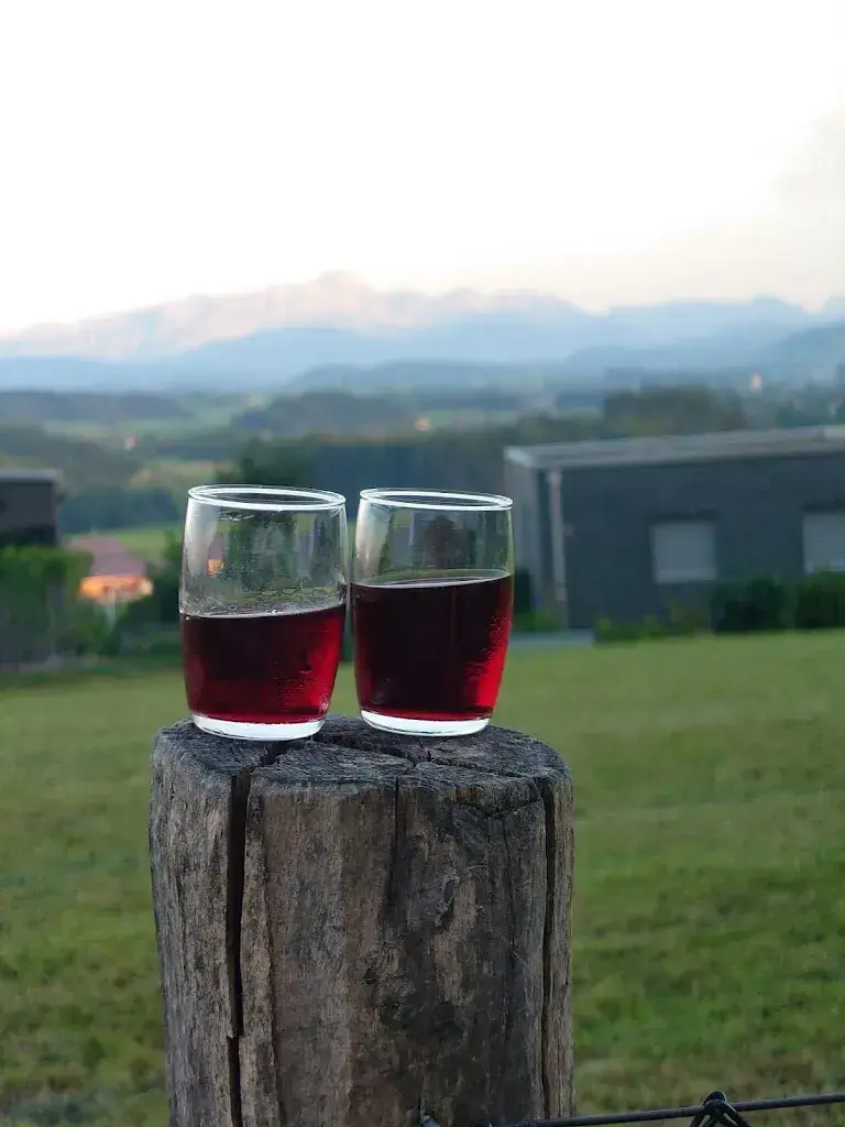 Noel Keller_Waldschenke_Bischofszell_review