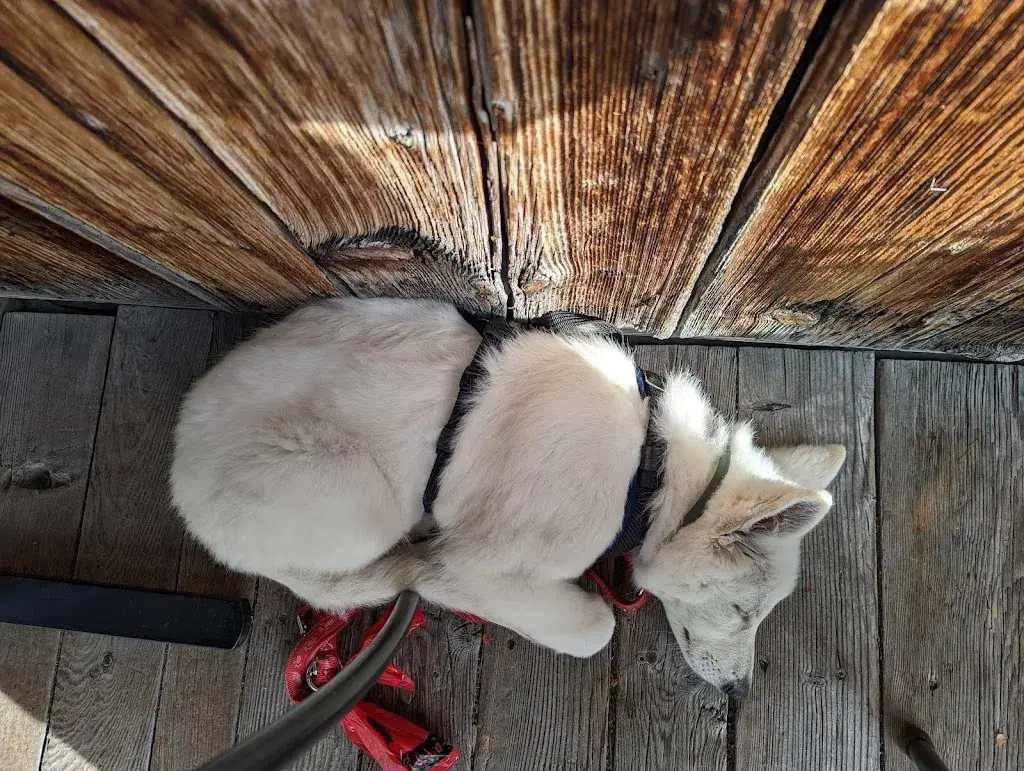 Morten Lauritsen Khodabocus_Gourmet Restaurant Guarda Val_Lenzerheide_review