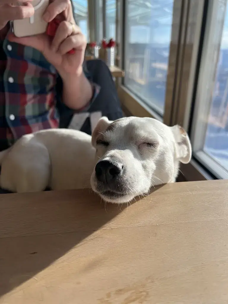 Martin Schoenbeck_Rothorngipfel_Lenzerheide_avis