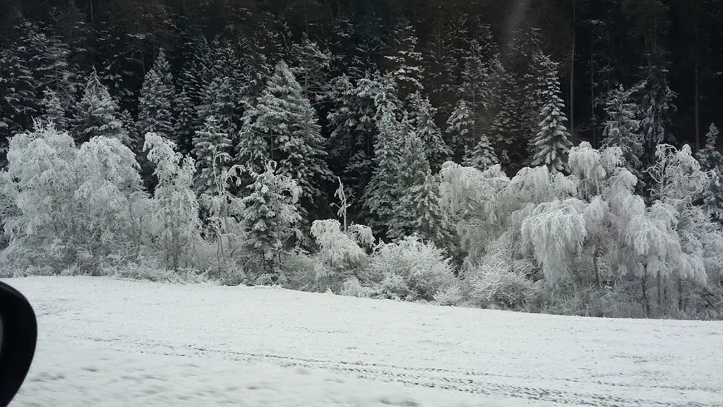 ARGO Café-Restaurant/Wohnheim_Surava_slider_image_2