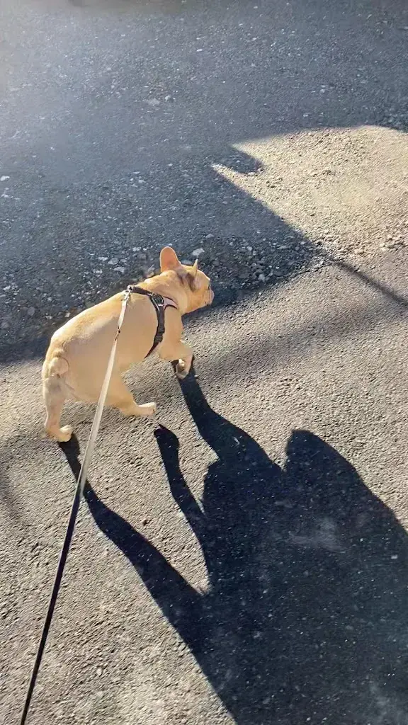 A. Still_Hotel Piz Mitgel_Savognin_review