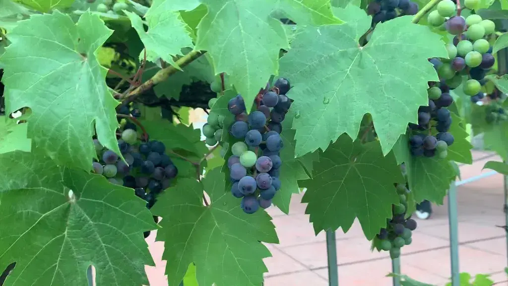 Hotel Rätia_Filisur_slider_image_2