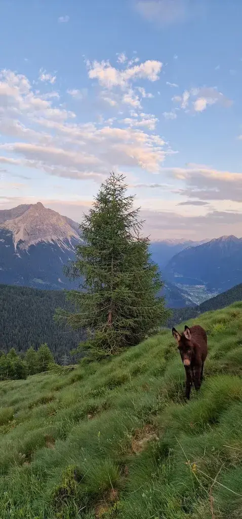 Robert Kelly_Casa Ristorante Belvedere_Alp Grüm_review