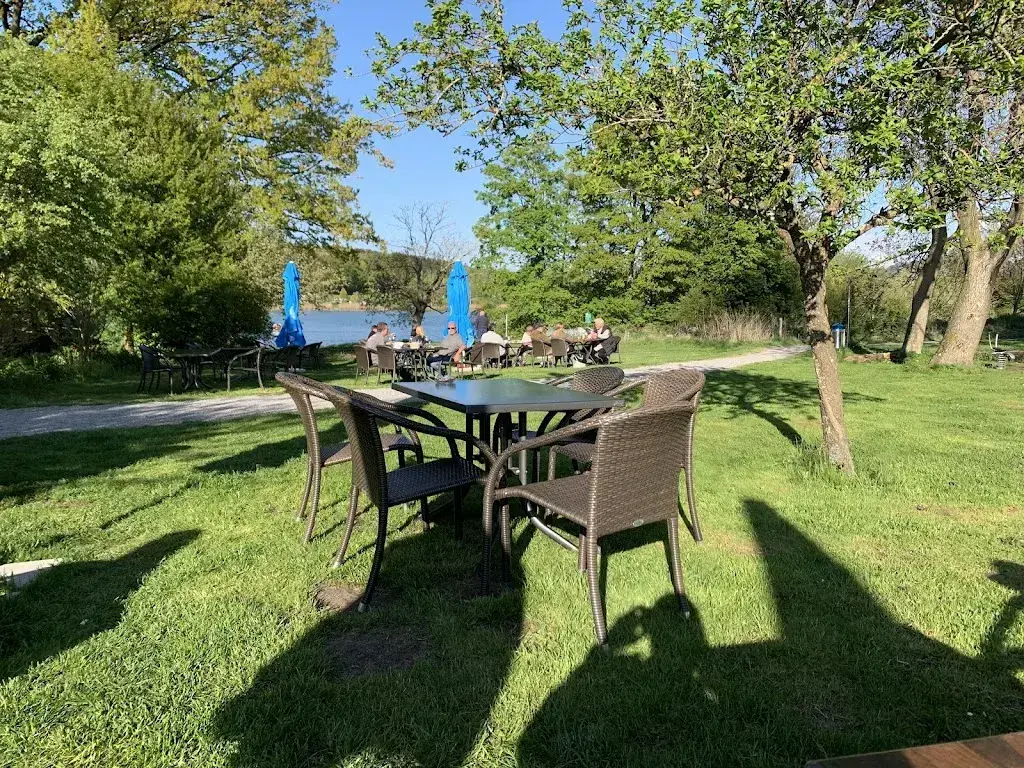 Stefan Lang_Seerose_Moosseedorf_review