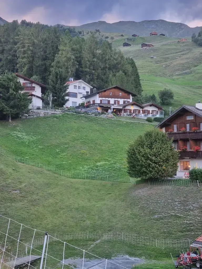 Jill Rimmer_Ustria Trutg_Vella_review