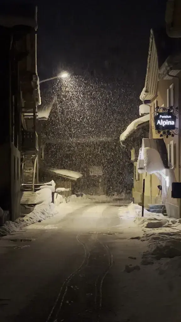 E Ní Feargha_Hotel Alpina_Lumbrein_review