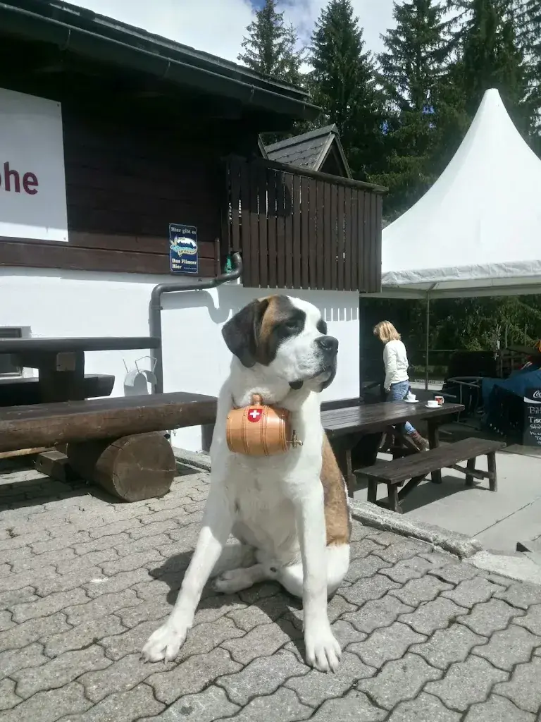 Bergrestaurant Runcahöhe_Flims_slider_image_3