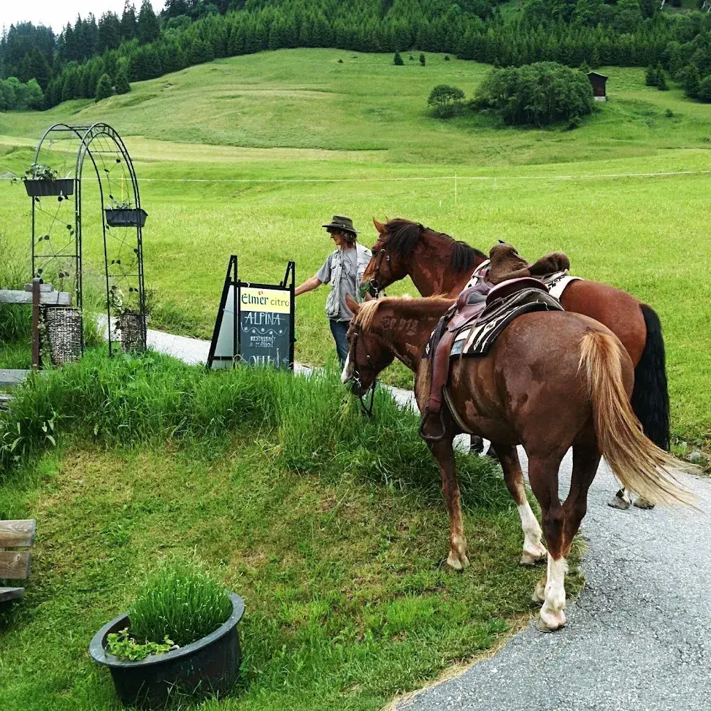 Anna Chernova_Alpina_Pigniu_review