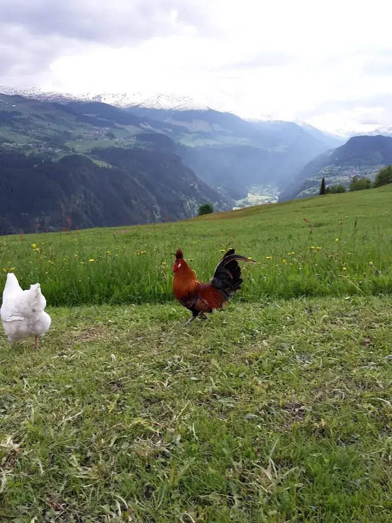 Arca da Siat_Siat_slider_image_3