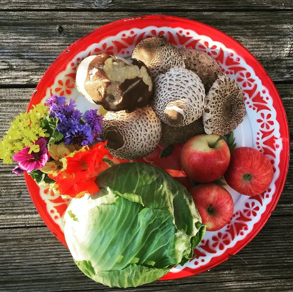 Menu_Vanis_Obersaxen_image_5