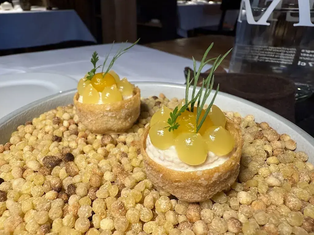 Ted Box_Stiva Veglia_Schnaus_reseña