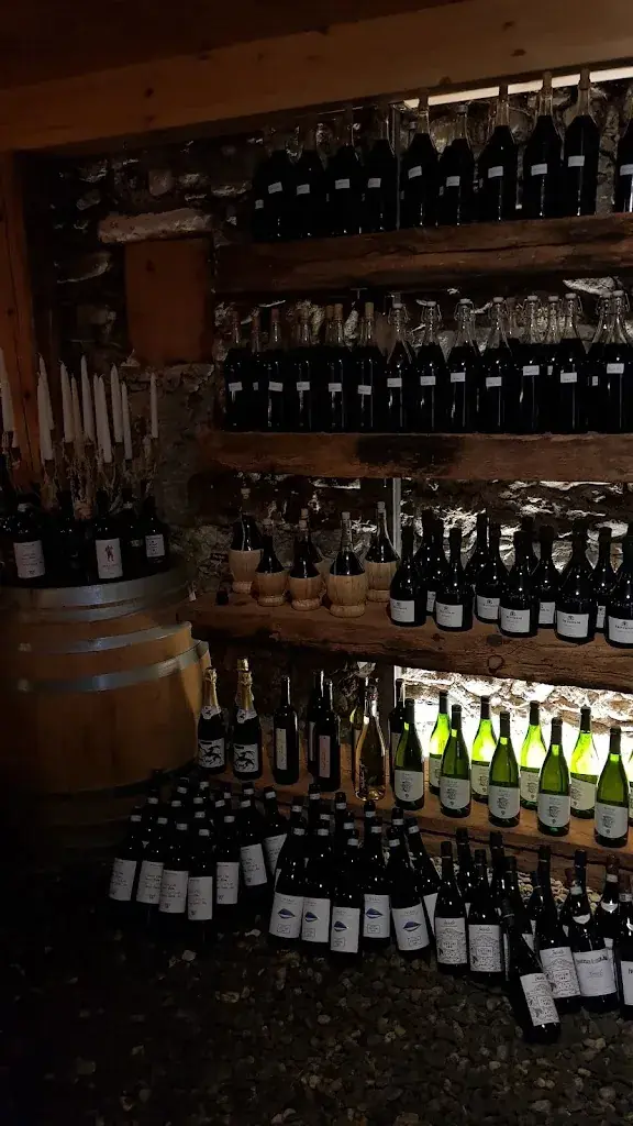 Silvia Rauch_Im Gässli_Rodels_review