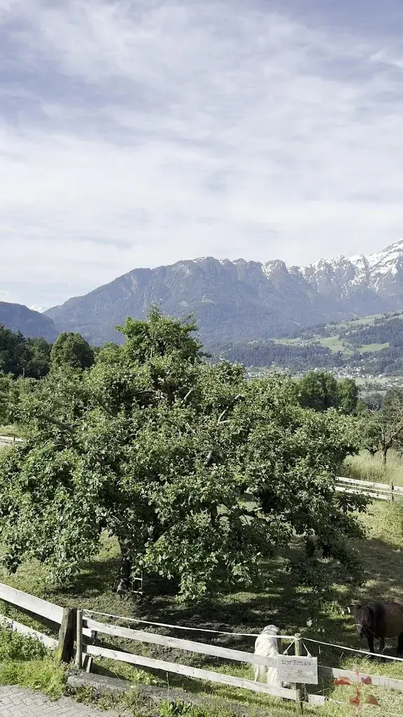 Kate Ness_Restaurant Landhus Almens_Domleschg_review