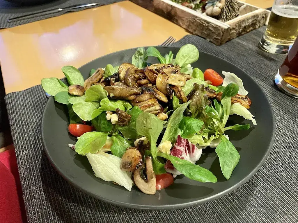 Stefan Schlegel_Lescha_Sarn_review