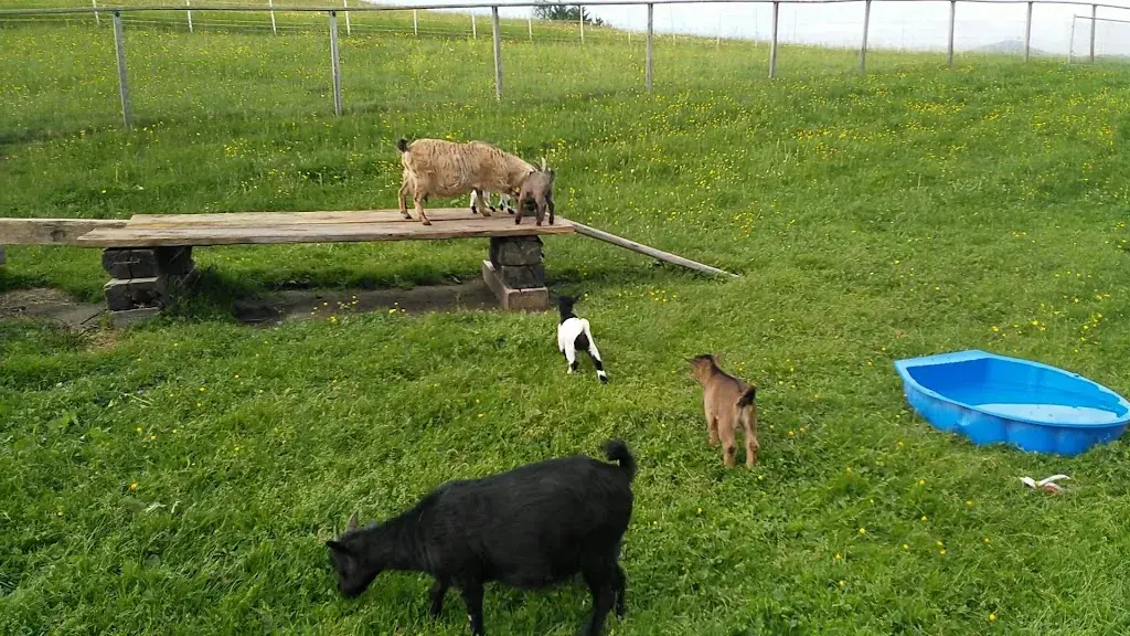 Gasthaus Alpina_Tschappina_slider_image_1