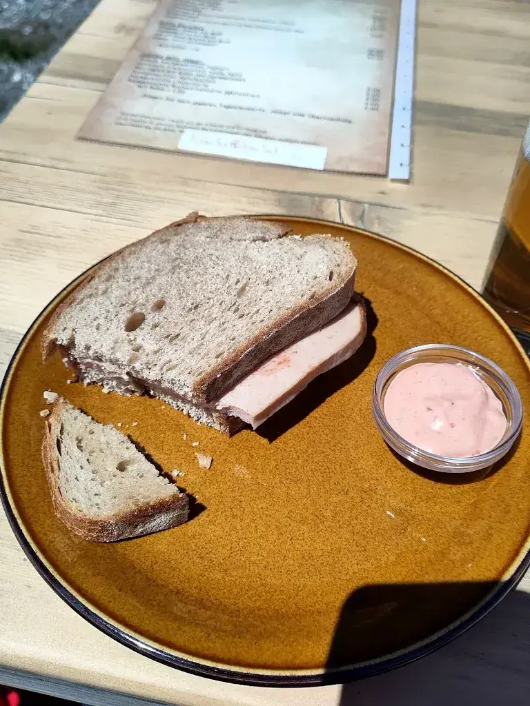 Stephan Nef_Alp dil Plaun_Scheid_review