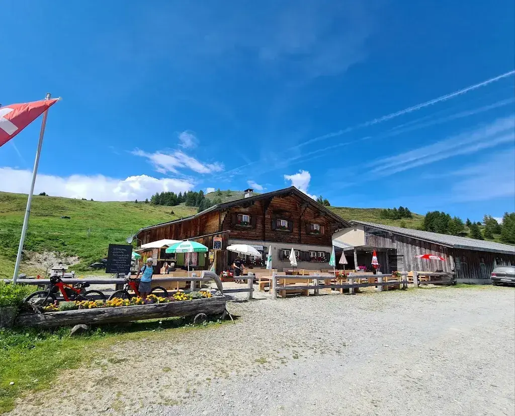 Franco Zanolari_Alp dil Plaun_Scheid_review