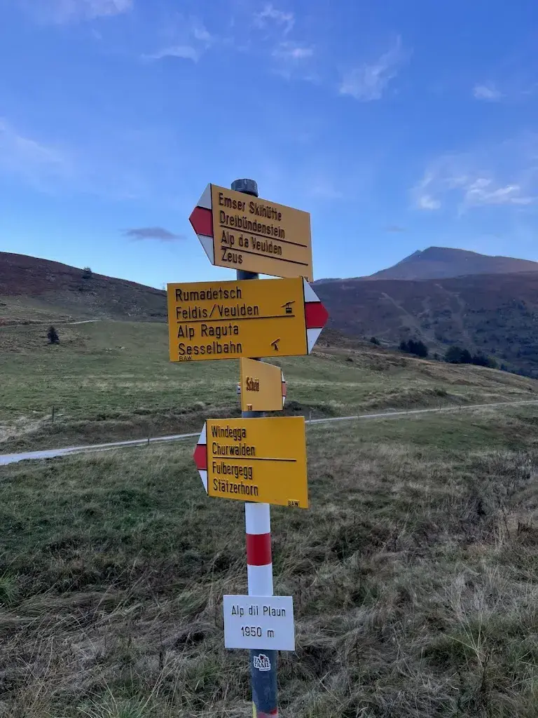 Bündnerbock_Alp dil Plaun_Scheid_review