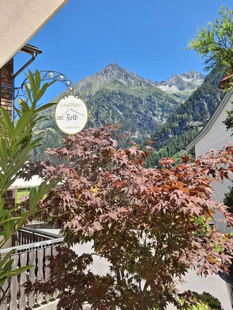 M. Kuhn_Gasthaus Im Feld_Gurtnellen_review