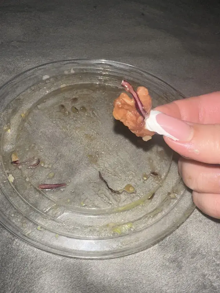 Elisabete Brandão de Sousa_FOOD BOWL BERSET_Bulle_review