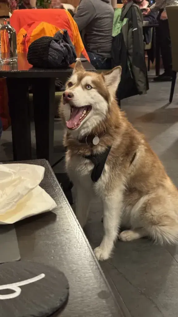 Fan Zhang_Hapimag Restaurant Bündner Stube_Flims_review