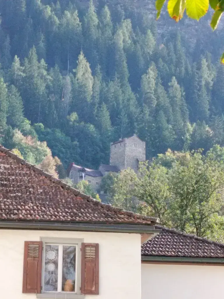 Kris's home videos_Gyger AG_Thusis_reseña