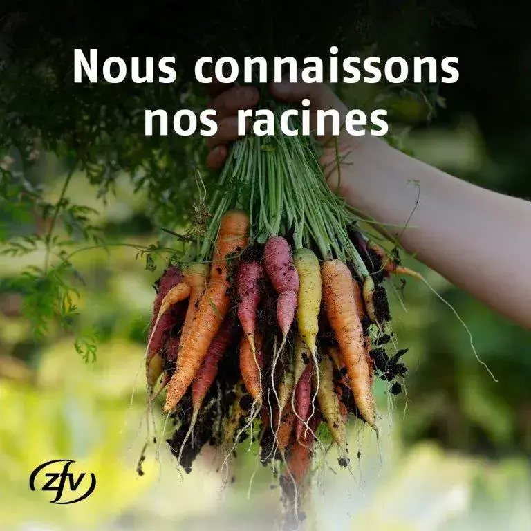 Menu_Restaurant Lausanne Triage 