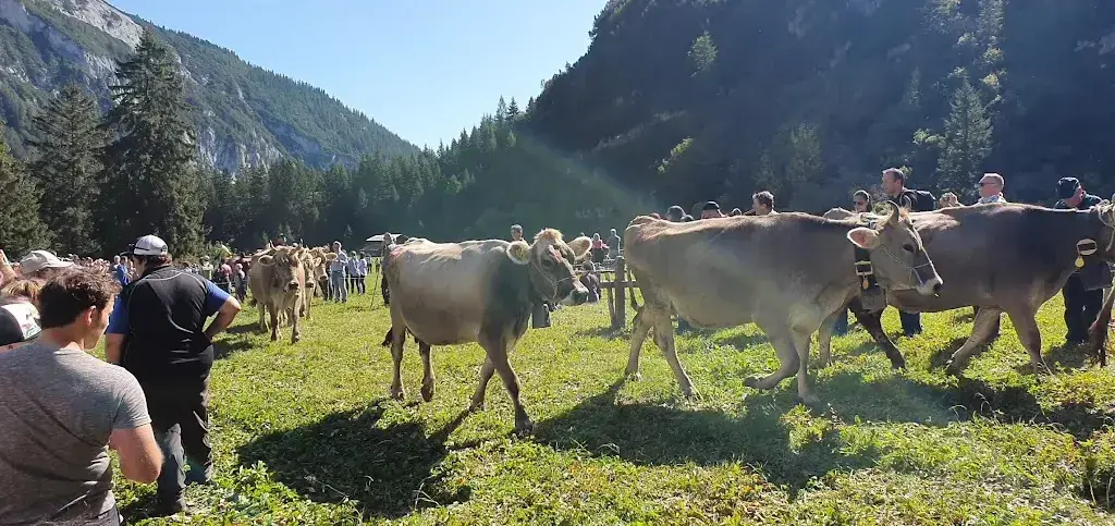 Berghaus Bargis_Flims_slider_image_2