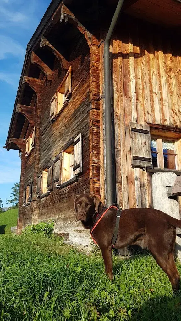 LizET_Restaurant Juchs_Domat/Ems_Bewertung