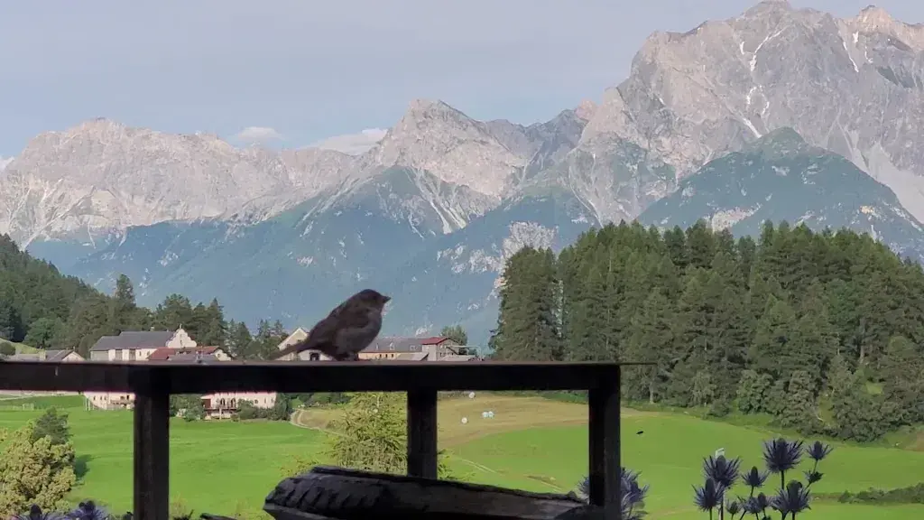 Meisser Lodge, Guarda_Guarda_slider_image_2