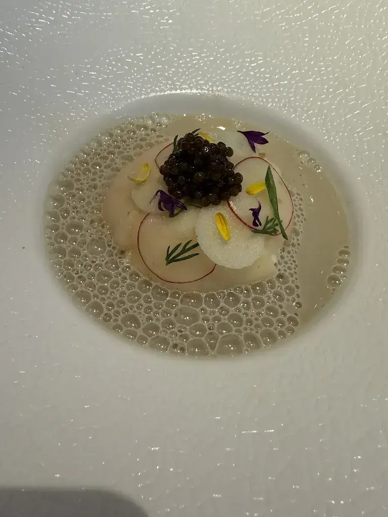 Daniel Shu_ORSINI_Zürich_review