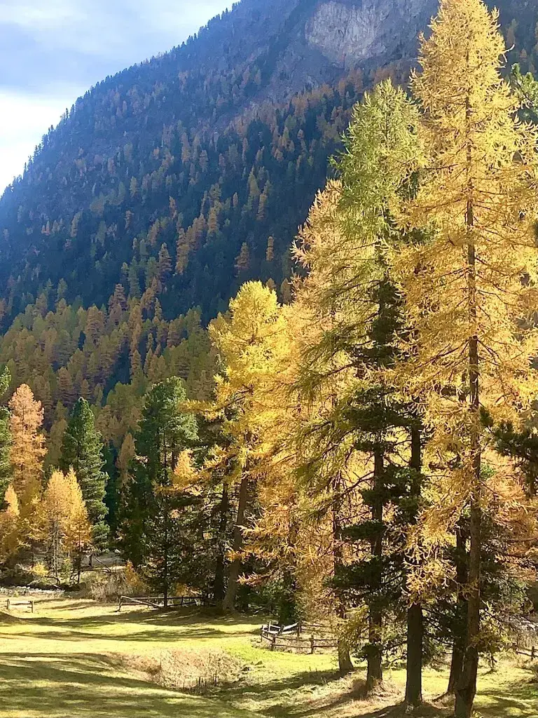 W Worldtraveller_Chesa Spinas AG_Bever_review