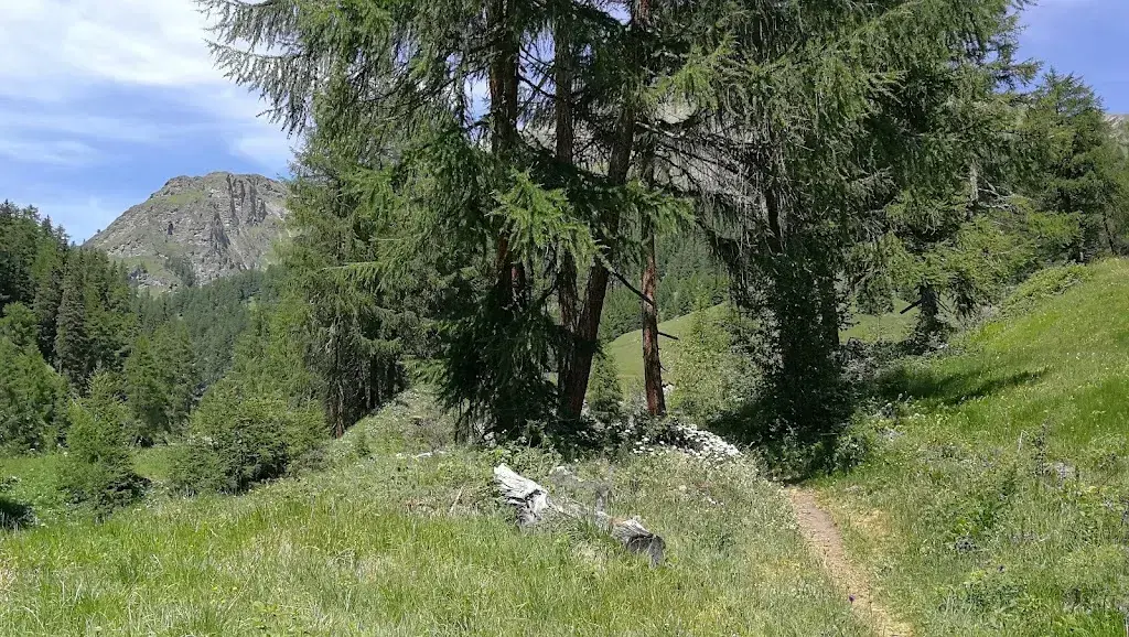 Gartenbergbeizli TANNA DA MUNTANEL_Ramosch_slider_image_3