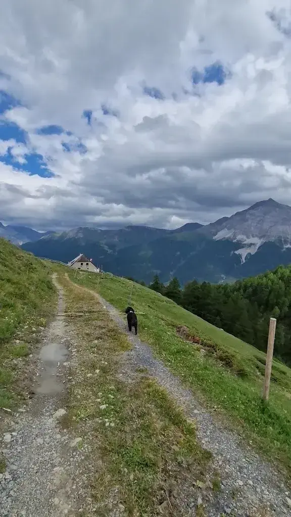 Paulina Barrena_Alp Es-cha Dadour_Madulain_avis