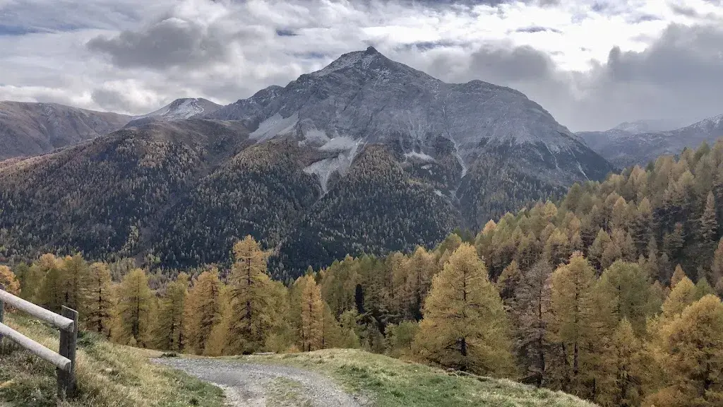 Stefan Camenisch_Alp Es-cha Dadour_Madulain_avis