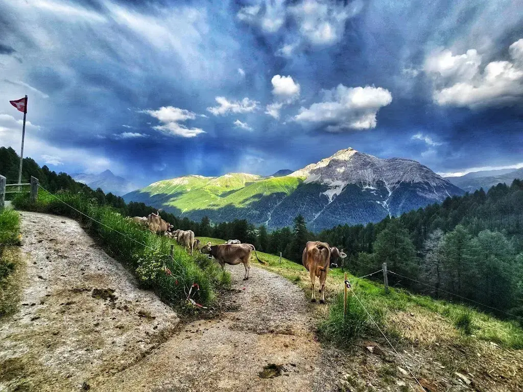 Alp Es-cha Dadour_Madulain_slider_image_3