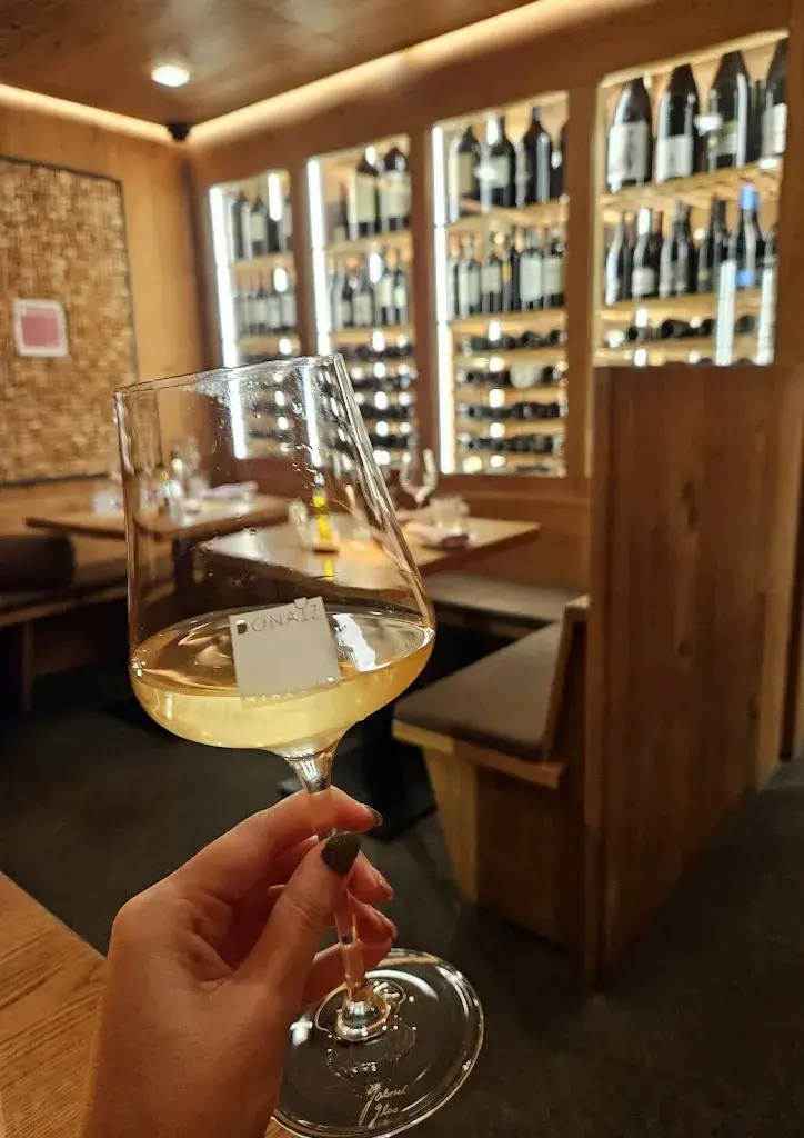 Emi Harsan_Hotel Donatz_Samedan_recensione