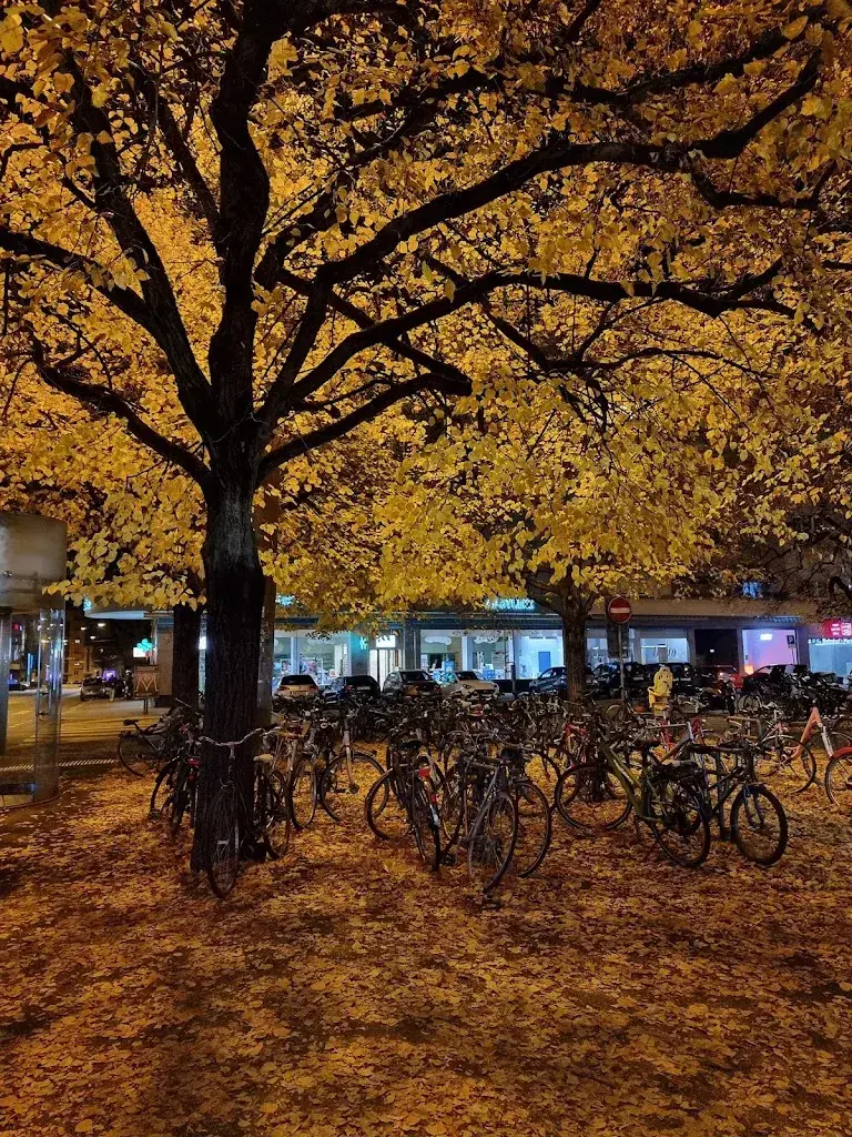 Soravis Sritawee_Asia Kitchen Fu_Biel_Bewertung