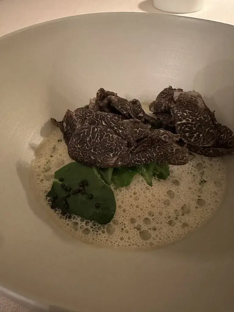 N J_Ecco St. Moritz_Champfèr_review