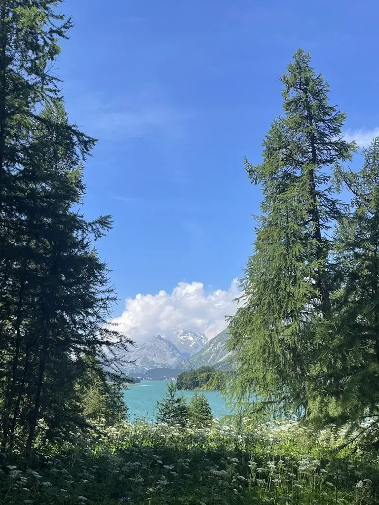 Cora Shaw_Hotel Maria_Sils im Engadin/Segl_recensione