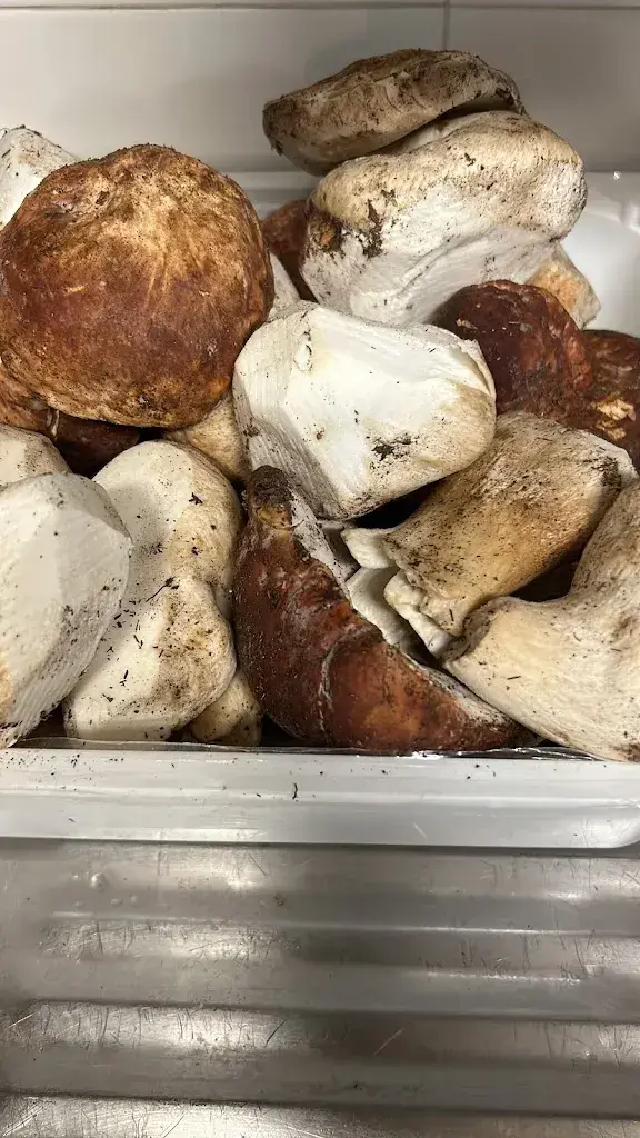 Four Seasons_Italy_slider_image_2