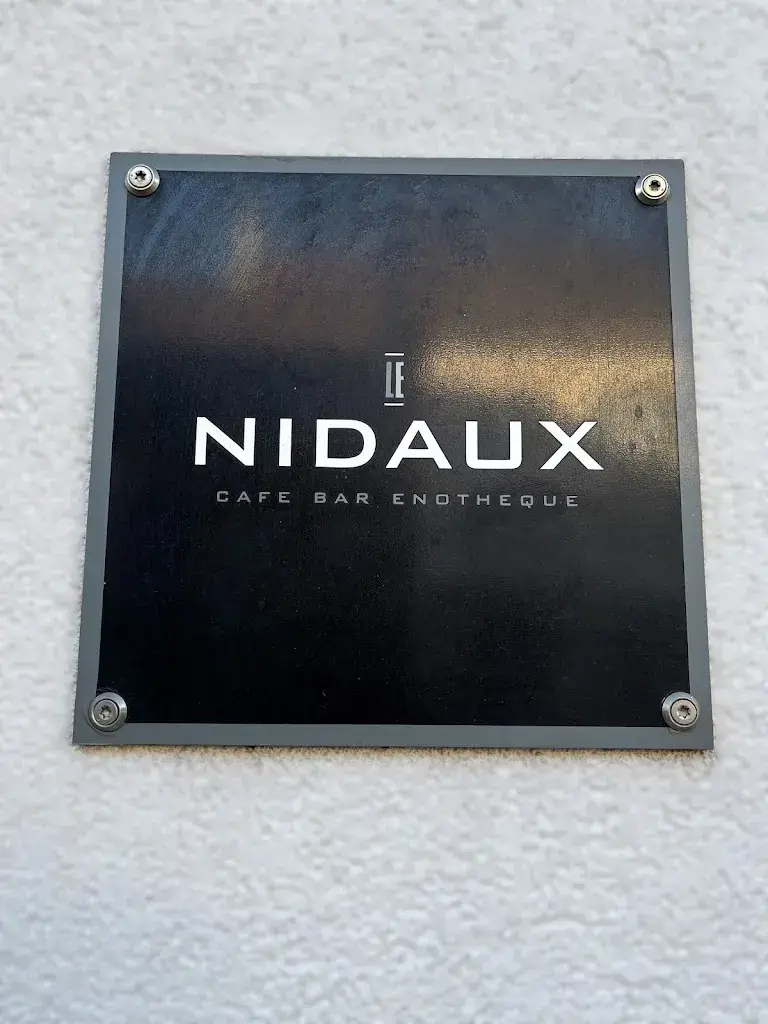 Christian Tohmé_Le Nidaux_Nidau_avis