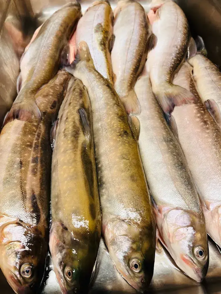 Osteria Bisnona_Contone_slider_image_3